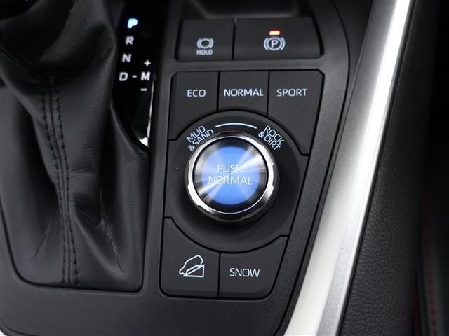 ＲＡＶ４ アドベンチャー　オフロードパッケージＩＩ　４ＷＤ　フルセグ　バックカメラ　衝突被害軽減システム　ＥＴＣ　ドラレコ　ＬＥＤヘッドランプ　ワンオーナー（24枚目）