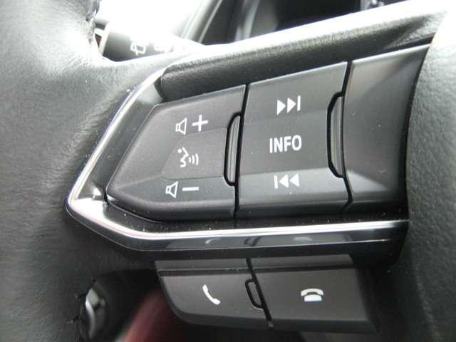 20S プロアクティブ i-ACTIV AWD 試乗車アップ(15枚目)