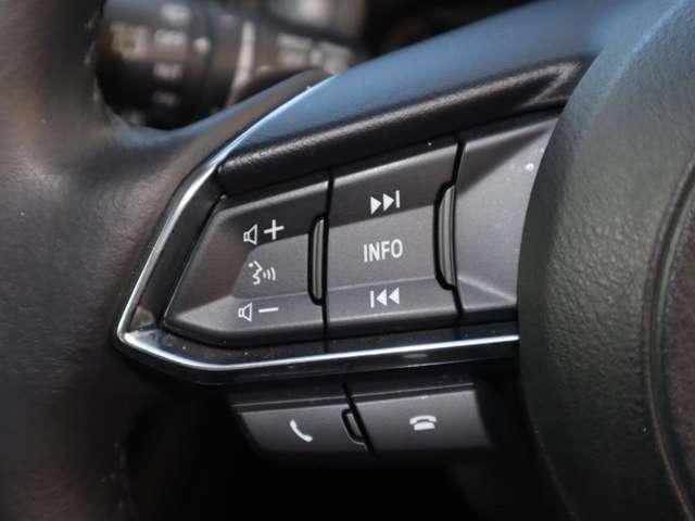 ＣＸ－３ ２．０　２０Ｓ　プロアクティブ　Ｓパッケージ　衝突被害軽減ブレーキ　ＥＴＣ車載器　マツダコ（10枚目）