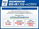 ターボ　両側電動スライドドア　クリアランスソナー　オートクルーズコントロール　レーンアシスト　衝突被害軽減システム　オートライト　ＬＥＤヘッドランプ　スマートキー　アイドリングストップ　シートヒーター（60枚目）
