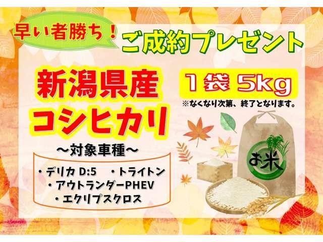 デリカＤ：５ Ｐ　ＡＬＰＩＮＥＤ：５専用１１型ナビゲーションＥＴＣ２．０ド（2枚目）