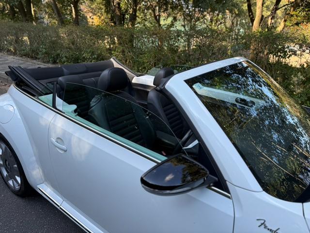 ザ・ビートル・カブリオレ ベースグレード レザーシート 純正OPアルミホイール バックカメラ シートヒーター クルーズコントロール(16枚目)