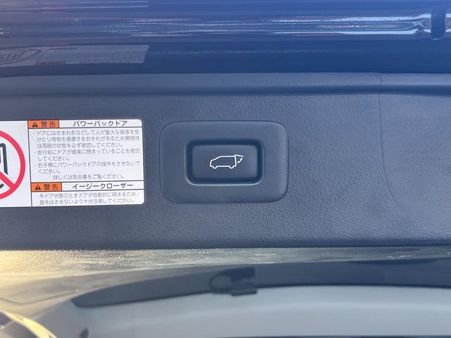 アルファード 2.5S Cパッケージ MC後 アルパインBIGX11型ナビ(純正DAトランク移設) アルパイン12.8型リアモニター 前後ドラレコ 3WAYスピーカー サンルーフ デジタルインナーミラー BSM 車高調(ノーマル有り)(31枚目)