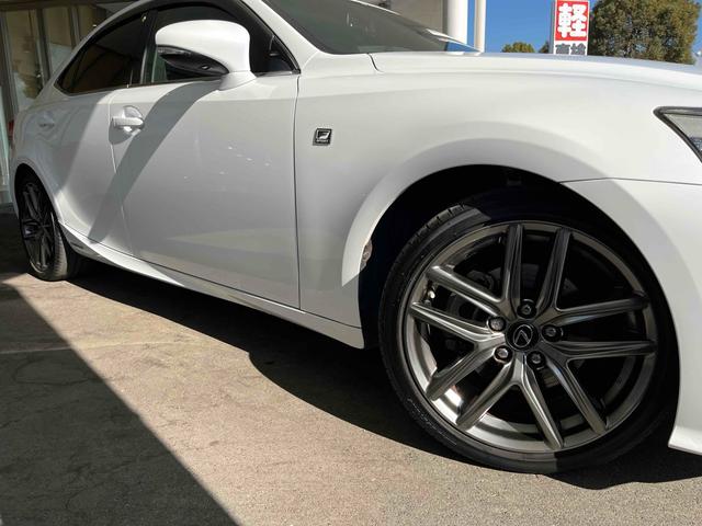 ���������܂��Đ��ɗL��������܂��I�I���񂲗��X���Ē����A���ۂɂ����ɂȂ��Ē�����΂Ǝv���܂��B���q�l����̂��A�����X�^�b�t�ꓯ�A�S��肨�҂����Ă���܂�