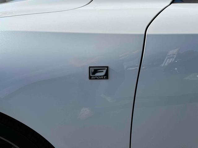 �[�Ԍ���C�����悭����蒸���܂��I�I