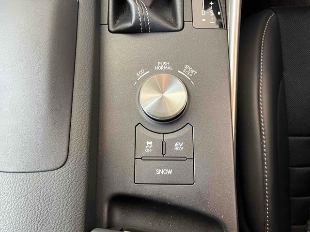 �[�Ԍ���C�����悭����蒸���܂��I�I