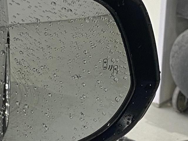 アルファードハイブリッド Z モデリスタエアロ ブリッツ車高調 VERZ21インチAW 左右独立ムーンルーフ シグネチャーイルミブレード 純正13.2型後席モニター デジタルインナーミラー BSM パノラミックビューモニター(64枚目)