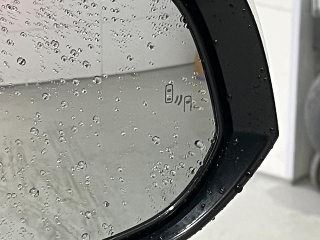 アルファード 3.5エグゼクティブラウンジ 寒冷地 モデリスタエアロ WORK21インチAW ツインムーンルーフ JBLプレミアサウンド リアエンターテイメント デジタルインナーミラー 黒革シート 3眼LED BSM ビルトインETC2.0(63枚目)