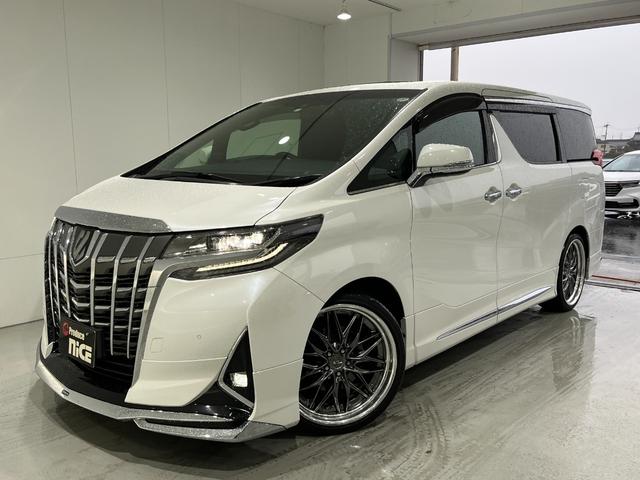 アルファード 3.5エグゼクティブラウンジ 寒冷地 モデリスタエアロ WORK21インチAW ツインムーンルーフ JBLプレミアサウンド リアエンターテイメント デジタルインナーミラー 黒革シート 3眼LED BSM ビルトインETC2.0(70枚目)