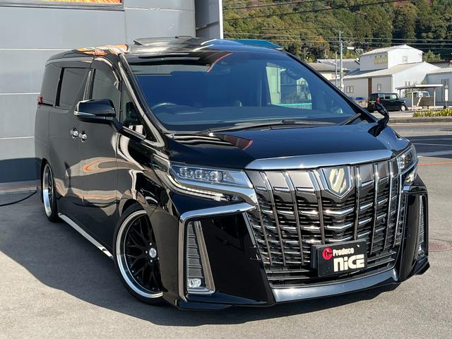 アルファード 2.5S タイプゴールド ブリッツ車高調 ロクサーニ20インチAW ツインムーンルーフ デジタルインナーミラー BSM 後席モニター エントリーナビキット フルセグTV CD/DVDデッキ 3眼LEDヘッドライト(13枚目)