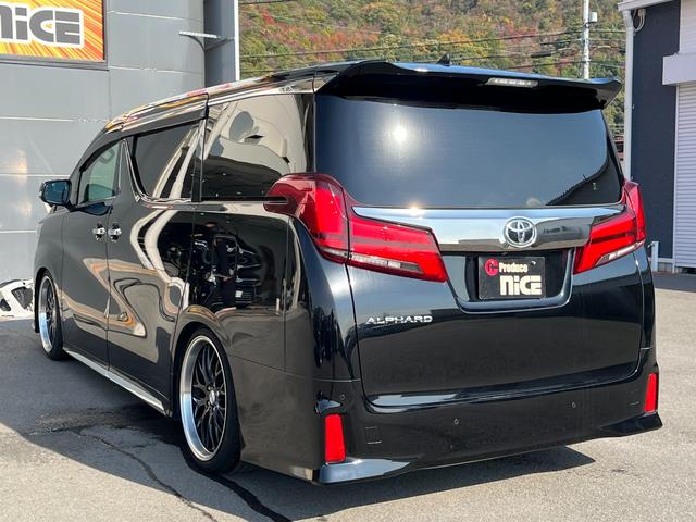 アルファード 2.5S タイプゴールド ブリッツ車高調 ロクサーニ20インチAW ツインムーンルーフ デジタルインナーミラー BSM 後席モニター エントリーナビキット フルセグTV CD/DVDデッキ 3眼LEDヘッドライト(17枚目)