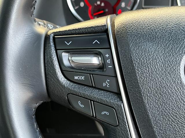 アルファード 2.5S タイプゴールド ブリッツ車高調 ロクサーニ20インチAW ツインムーンルーフ デジタルインナーミラー BSM 後席モニター エントリーナビキット フルセグTV CD/DVDデッキ 3眼LEDヘッドライト(29枚目)