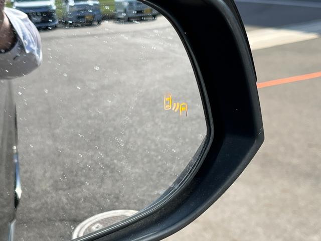 アルファード 2.5S タイプゴールド ブリッツ車高調 ロクサーニ20インチAW ツインムーンルーフ デジタルインナーミラー BSM 後席モニター エントリーナビキット フルセグTV CD/DVDデッキ 3眼LEDヘッドライト(37枚目)