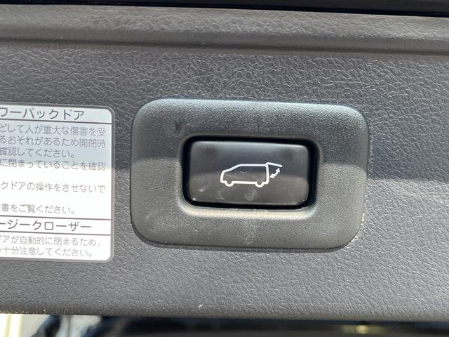 アルファード 2.5S タイプゴールド ブリッツ車高調 ロクサーニ20インチAW ツインムーンルーフ デジタルインナーミラー BSM 後席モニター エントリーナビキット フルセグTV CD/DVDデッキ 3眼LEDヘッドライト(45枚目)