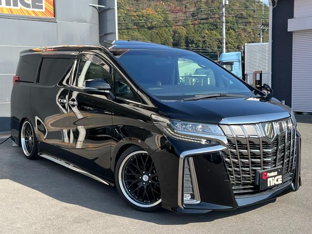 アルファード 2.5S タイプゴールド ブリッツ車高調 ロクサーニ20インチAW ツインムーンルーフ デジタルインナーミラー BSM 後席モニター エントリーナビキット フルセグTV CD/DVDデッキ 3眼LEDヘッドライト(60枚目)