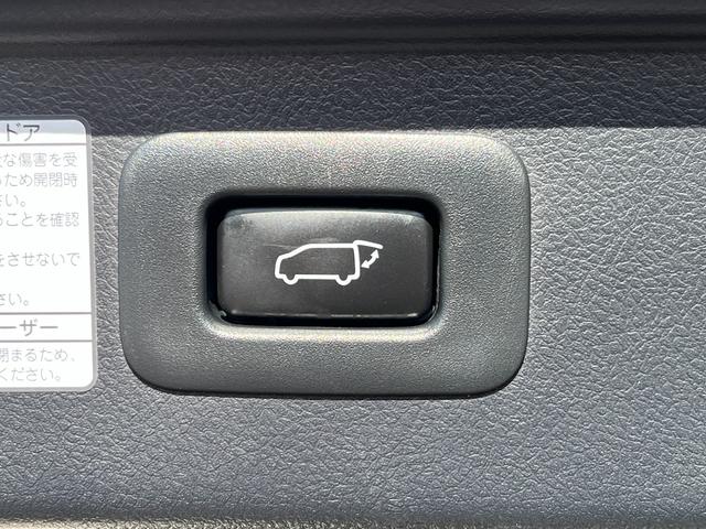 アルファード ２．５Ｓ　タイプゴールド　シルクブレイズエアロＦ／Ｓ／Ｒ　クロノス２０インチアルミホイール　サンルーフ　３眼ＬＥＤヘッドライト　トヨタセーフティセンス　ＰＷバックドア　両側電動スライドドア　ビルトインＥＴＣ　ハーフレザー（45枚目）