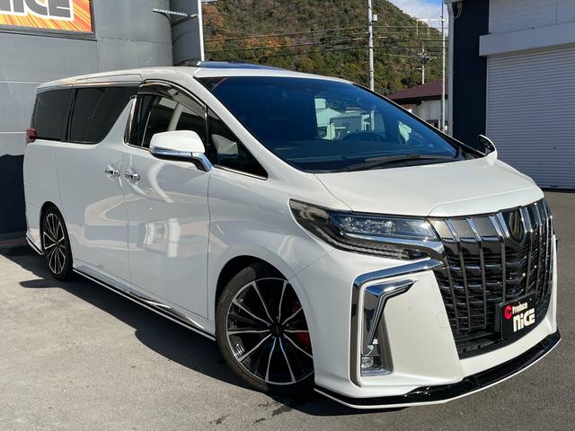 アルファード ２．５Ｓ　タイプゴールド　シルクブレイズエアロＦ／Ｓ／Ｒ　クロノス２０インチアルミホイール　サンルーフ　３眼ＬＥＤヘッドライト　トヨタセーフティセンス　ＰＷバックドア　両側電動スライドドア　ビルトインＥＴＣ　ハーフレザー（59枚目）