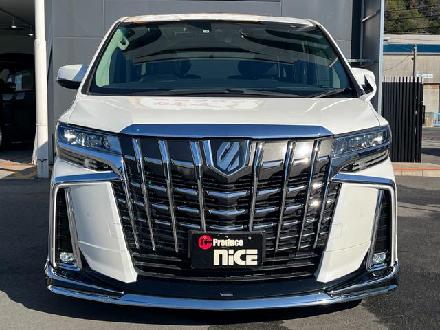 �t�����g�r���[��