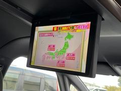 ʥ˥ 5