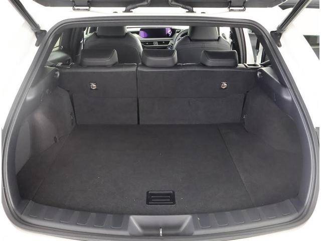 ＵＸ ＵＸ２５０ｈ　バージョンＣ　サンルーフ　フルセグ　メモリーナビ　ＤＶＤ再生　バックカメラ　衝突被害軽減システム　ＥＴＣ　ＬＥＤヘッドランプ　ワンオーナー（13枚目）