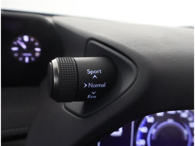 ＵＸ ＵＸ２５０ｈ　バージョンＣ　サンルーフ　フルセグ　メモリーナビ　ＤＶＤ再生　バックカメラ　衝突被害軽減システム　ＥＴＣ　ＬＥＤヘッドランプ　ワンオーナー（29枚目）