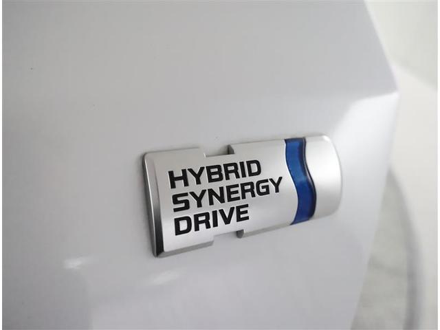 ライズ G フルセグ メモリーナビ DVD再生 バックカメラ 衝突被害軽減システム ETC LEDヘッドランプ ワンオーナー(28枚目)