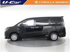 ���������� �ϥ��֥�åɣ֡��ե륻�������꡼�ʥӡ��ģ֣ĺ��������ʥ�˥��� 0701082A20260118T008 2