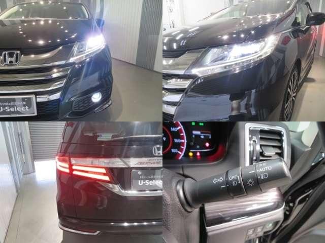 アブソルート・EX ワンオーナー車・メモリーインターナビ(13枚目)