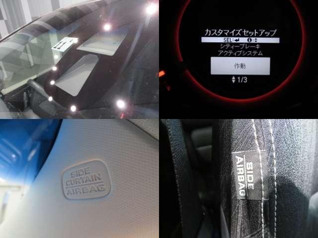 アブソルート・EX ワンオーナー車・メモリーインターナビ(14枚目)