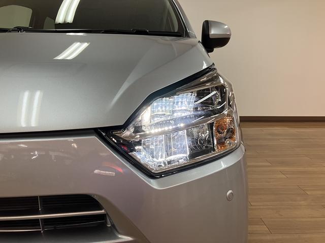 �y�k�d�c�w�b�h���C�g�z�Ώە������₷���A�������邢���Ŗ�Ԃ̃h���C�u�����S�ŉ��K�ł���