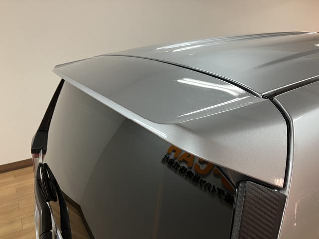 ���[�t�G���h�X�|�C���[��