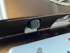 �Хå�����ݤ˸��������ǤϤʤ��֤�夫�鸫���褦�ʱ�����ʥӤʤɤΥ�˥����˱Ǥ��Ф��Ƥ���ޤ�����Хå����������ˤ⥪������������Ǥ������󡢥ʥӤ�����򥪥����ᤷ�ޤ��� 6