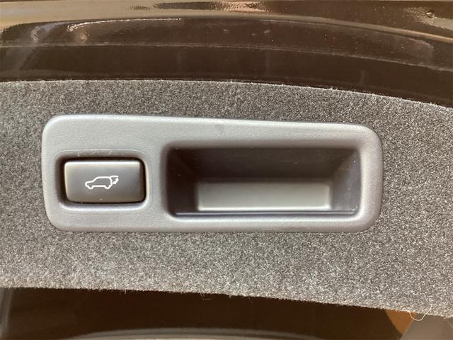 ハリアー プログレス　スタイルブルーイッシュ　全周囲カメラ　クリアランスソナー　オートクルーズコントロール　レーンアシスト　パワーシート　衝突被害軽減システム　ナビ　ＴＶ　オートマチックハイビーム　オートライト（28枚目）