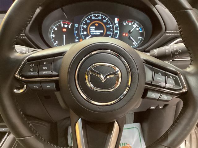 ＣＸ－８ ＸＤ　グランドジャーニー　４ＷＤ　ガラスルーフ　ナビ　全周囲カメラ　ＴＶ　ＥＴＣ　クリアランスソナー　オートクルーズコントロール　レーンアシスト　パワーシート　衝突被害軽減システム　オートライト（23枚目）