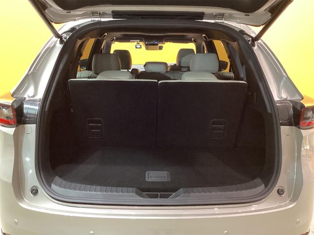 ＣＸ－８ ＸＤ　グランドジャーニー　４ＷＤ　ガラスルーフ　ナビ　全周囲カメラ　ＴＶ　ＥＴＣ　クリアランスソナー　オートクルーズコントロール　レーンアシスト　パワーシート　衝突被害軽減システム　オートライト（28枚目）