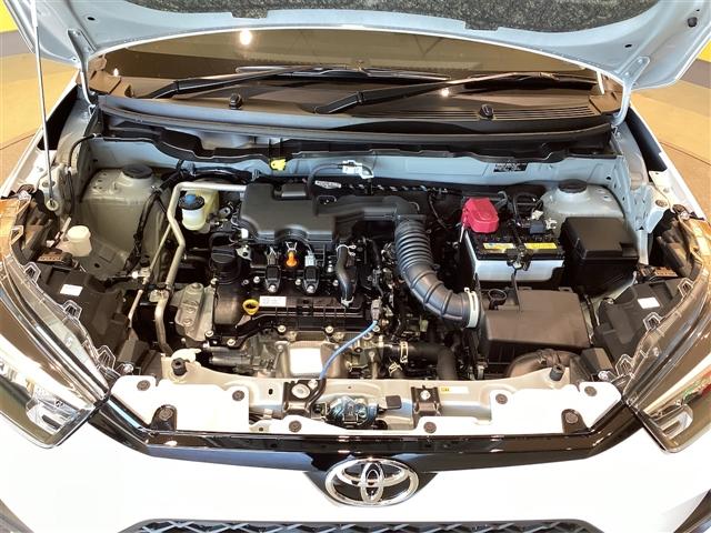 ライズ X バックカメラ クリアランスソナー レーンアシスト 衝突被害軽減システム TV オートライト LEDヘッドランプ スマートキー アイドリングストップ CVT 盗難防止システム 衝突安全ボディ USB(32枚目)