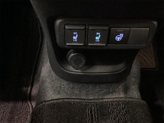 シエンタ ハイブリッドＺ　全周囲カメラ　ナビ　ＴＶ　クリアランスソナー　オートクルーズコントロール　レーンアシスト　衝突被害軽減システム　両側電動スライドドア　オートマチックハイビーム　オートライト　ＬＥＤヘッドランプ（32枚目）