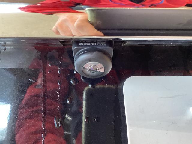 ���������܂��Đ��ɗL��������܂��I�I���񂲗��X���Ē����A���ۂɂ����ɂȂ��Ē�����΂Ǝv���܂��B���q�l����̂��A�����X�^�b�t�ꓯ�A�S��肨�҂����Ă���܂�