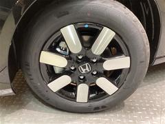 ������١��¼֤�������������� 6