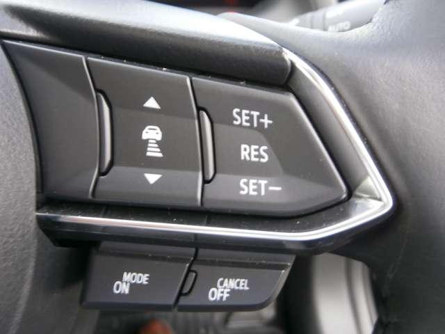 ＭＡＺＤＡ２ １５ＳブラックトーンＥＤ　前後ドラレコ付き（17枚目）