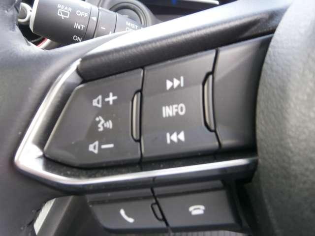 ＭＡＺＤＡ２ １５ＳブラックトーンＥＤ　前後ドラレコ付き（18枚目）