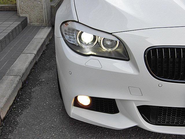 528i Mスポーツパッケージ ナビTV黒革 レムスマフラー(9枚目)
