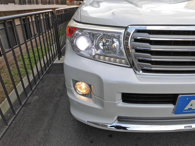 �L�Z�m���w�b�h���C�g���I�[�g���C�g�I