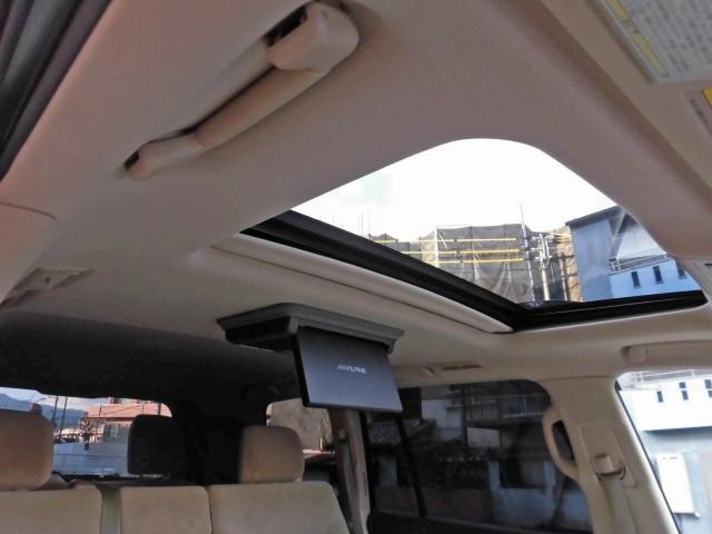 �ƂĂ��J���I�ȃK���X�T�����[�t�I�t���A����_�b�V������A���[�t���C�i�[�Ɏ���܂łƂĂ��Y��ł��I