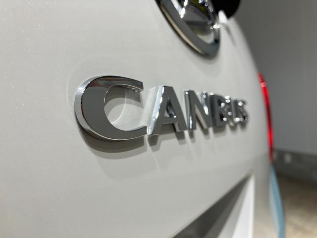 ムーヴキャンバス ストライプスＧ　届出済未使用車　禁煙車　両側電動スライドドア　衝突被害軽減ブレーキ　ＬＥＤヘッドライト　電子パーキング　オートブレーキホールド　前席シートヒーター　ホットカップホルダー　スマートキー　電動格納ミラー（43枚目）