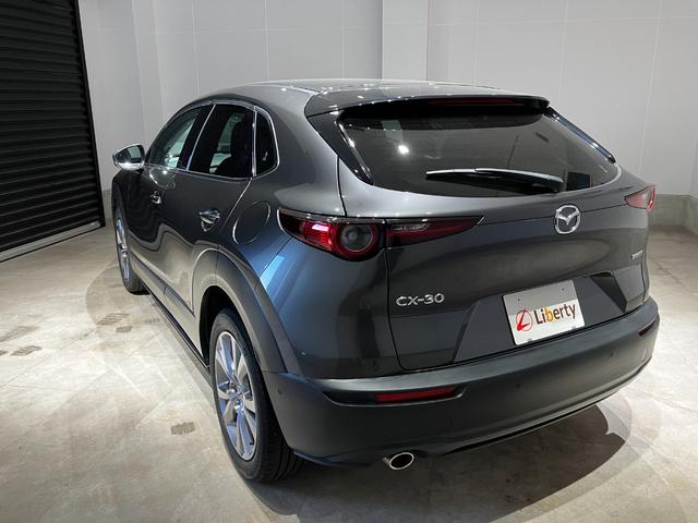 マツダ ＣＸ－３０ 15枚目