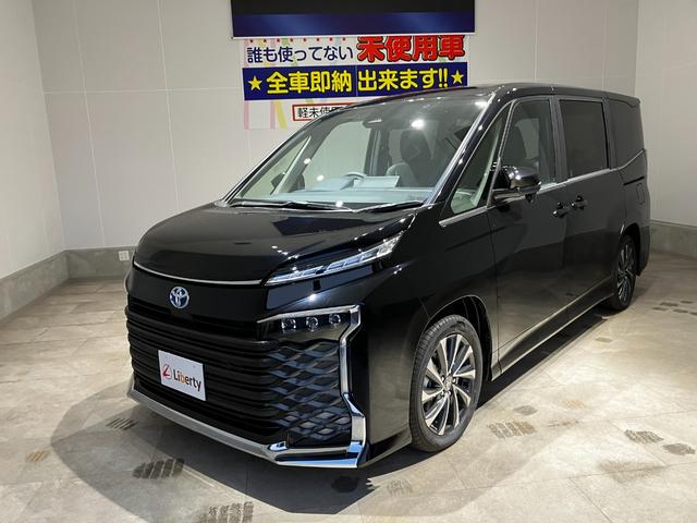 ヴォクシー ハイブリッドＳ－Ｚ　ナビ　バックカメラ　クリアランスソナー　オートクルーズコントロール　レーンアシスト　衝突被害軽減システム　両側電動スライドドア　オートマチックハイビーム　オートライト　ＬＥＤヘッドランプ　スマートキー（9枚目）