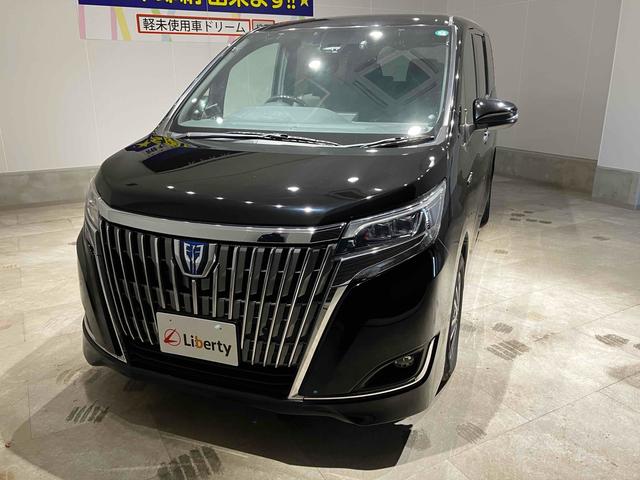 エスクァイア ハイブリッドGi ETC バックカメラ ナビ レーンアシスト 衝突被害軽減システム 両側電動スライドドア オートマチックハイビーム オートライト スマートキー 電動格納ミラー 後席モニター(17枚目)