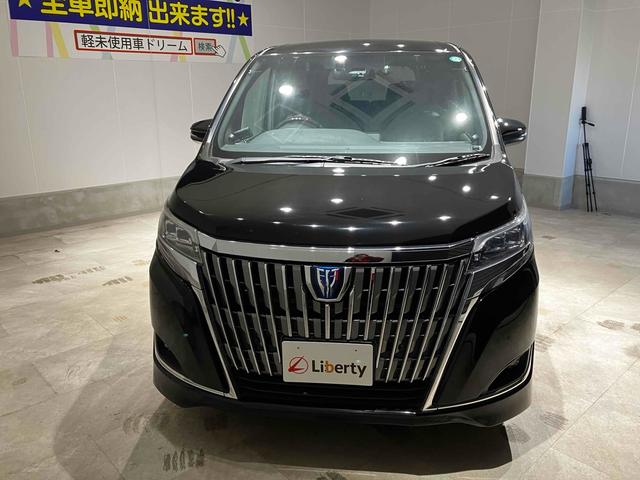 エスクァイア ハイブリッドGi ETC バックカメラ ナビ レーンアシスト 衝突被害軽減システム 両側電動スライドドア オートマチックハイビーム オートライト スマートキー 電動格納ミラー 後席モニター(18枚目)