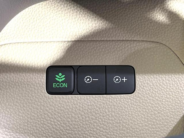 N-BOX Gホンダセンシング SDナビ バックカメラ ホンダセンシング アダプティクルーズ Bluetooth ドラレコ スマートキー LEDヘッド ETC オートライト オートエアコン CD DVD再生 ドアバイザー 禁煙車(35枚目)